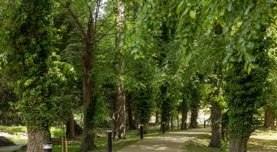 Farehurst Park - Pumping House Pond 3