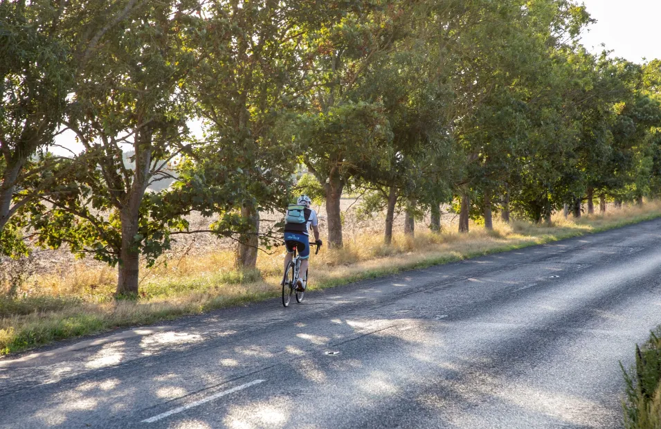 Cyclist in fulbourn
