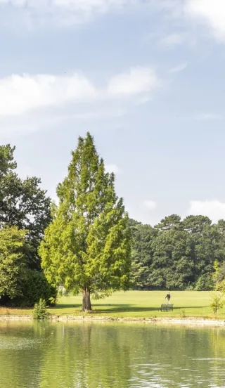Aerial view of the Cambridge Cathedral