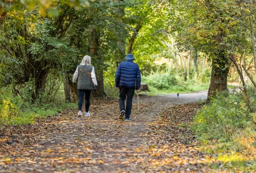 Couple walking their dog in a wooded area