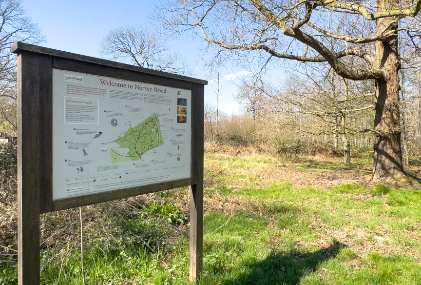 Norsey Wood, Billericay 