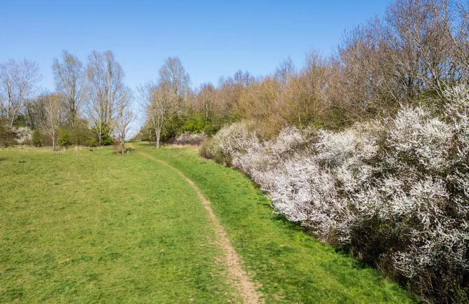 Queens Park Country Park