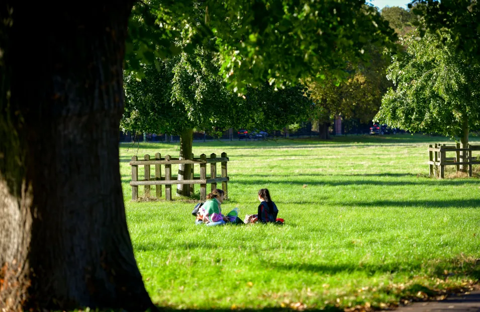 Cambridge open space
