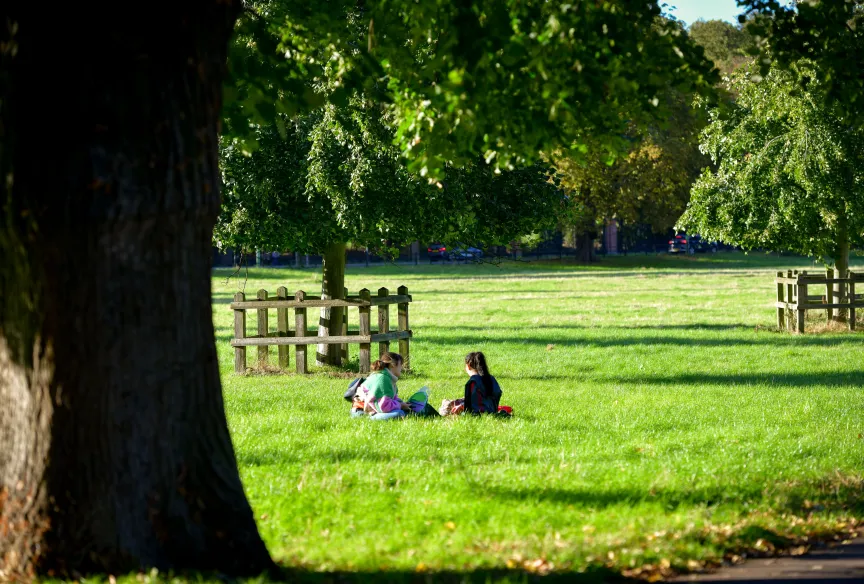 Cambridge open space