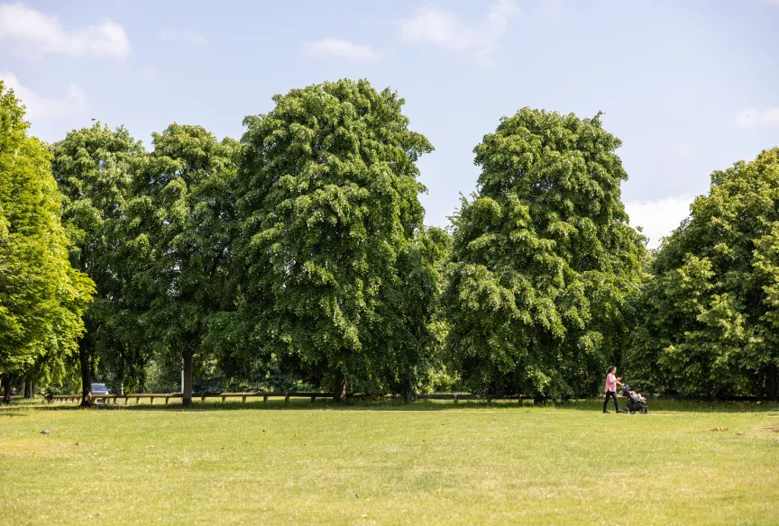 Stevenage Green Space
